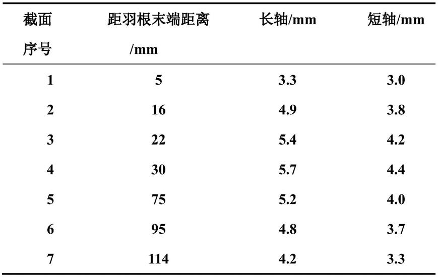 一种仿猛禽飞羽滤泡的固定套管装置设计方法