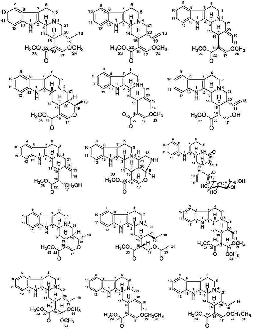 单萜吲哚类生物碱衍生物的应用