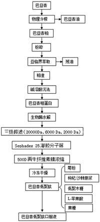 以低温物理脱脂巴旦杏粕为原料制备巴旦杏低聚肽的方法及其包含巴旦杏低聚肽的口服液