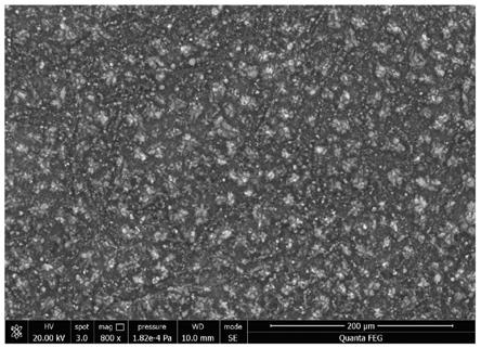 金属基体上自清洁超疏水转化膜及其制备方法、成膜剂与流程