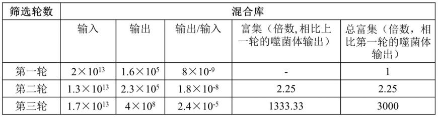 一种靶向人CD133的纳米抗体及其制备方法和应用