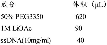 一种DNA反转系统及其应用以及一种目标DNA反转方法