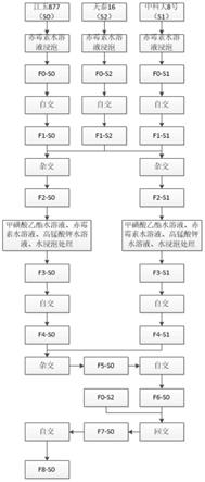 一种高抗旱性玉米品种的选育方法与流程