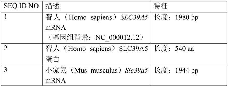 溶质载体39成员5的功能丧失啮齿动物模型的制作方法