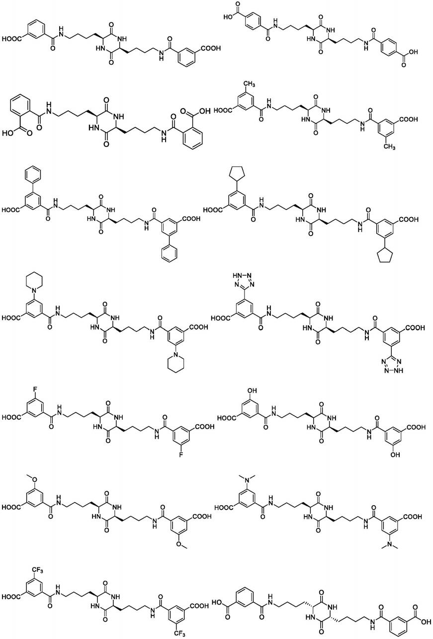 一种二酮基哌嗪类化合物及其应用的制作方法