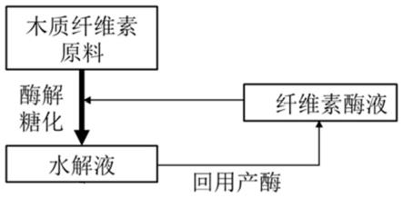 一种将木质纤维素水解液回用于发酵生产纤维素酶液的方法