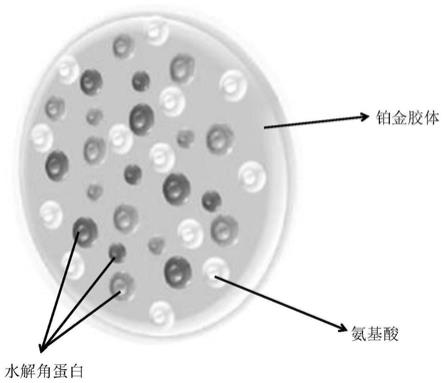 一种纳米级铂金吸附氨基酸及角蛋白的制备方法及洗发水与流程