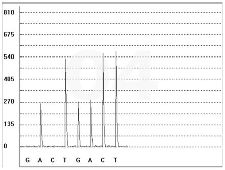 一种塞来昔布代谢标志物的检测试剂盒及其检测方法和应用与流程