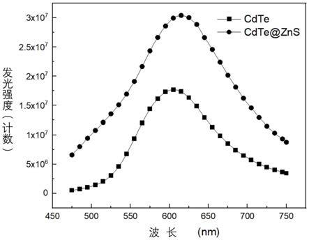 量子点荧光探针可视化快速检测有机磷农药残留的方法