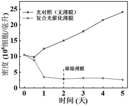 一种抑制有害微藻生长的复合光催化薄膜及其制备方法和应用