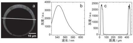 一种含氟硼吡咯类光敏剂的多相光催化剂