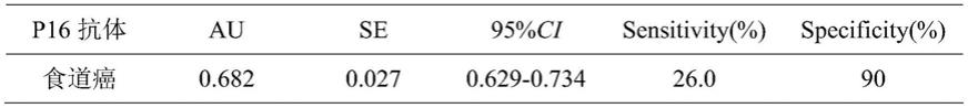 一种检测食管癌标志物P16抗原表位氨基酸序列及应用