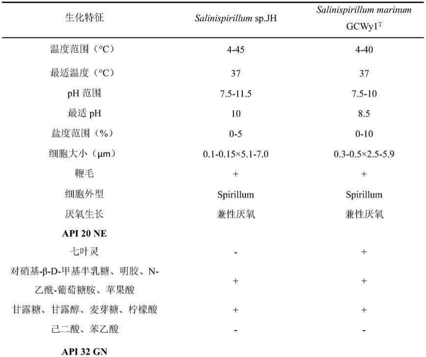 碳酸酐酶SaCA及其编码基因和应用