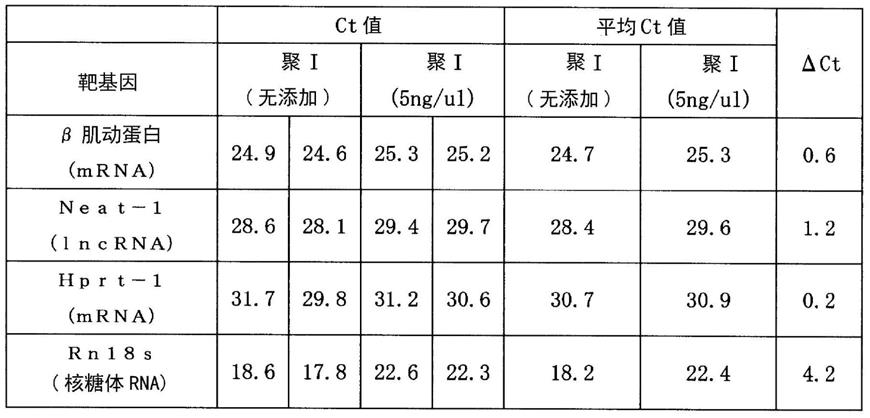 核酸的生成和扩增的制作方法