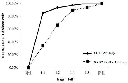 一种用于角膜移植免疫排斥反应治疗的药物