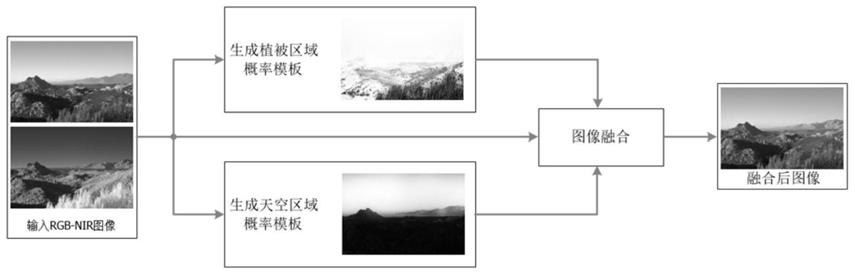 可见光与近红外图像联合处理的植被天空区域检测方法