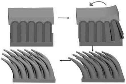 一种高聚物膜表面倾斜纳米线阵列结构的制备方法