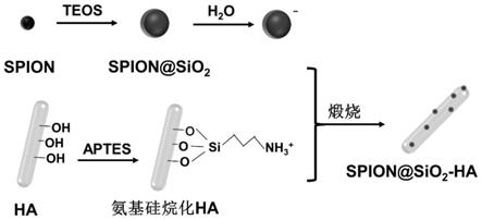 磁响应HA纳米棒及其制备和在齿科修复用树脂上的应用