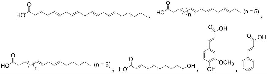 一种新型虫草素烷酰胺衍生物及其制备方法和应用
