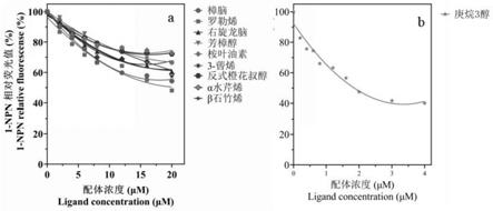 一种与香樟挥发性化合物和虫体信息素结合的蛋白PtsuOBP39、引诱剂及其应用的制作方法