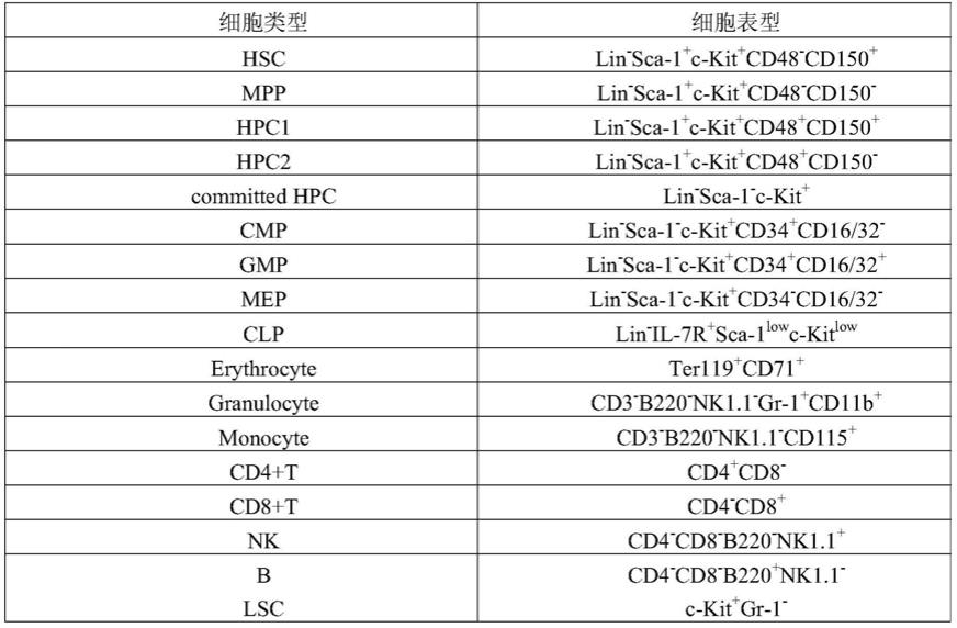 一种造血细胞的线粒体功能的检测方法