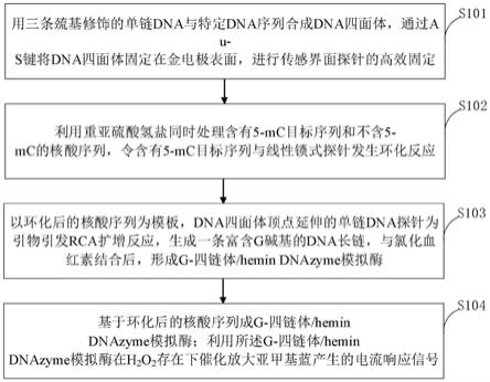 基于DNA功能化纳米材料的电化学传感器及构建方法