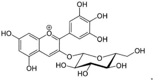 使用飞燕草色素-3-葡萄糖苷治疗和预防疱疹病毒科的感染的制作方法