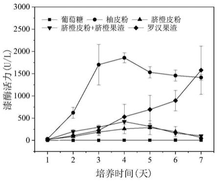 一种利用食品废弃物促进粗毛革孔菌生产漆酶的方法