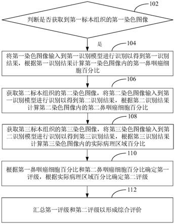 基于深度学习评价鼻咽癌治疗效果的方法、装置、设备和介质与流程