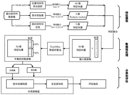 一种基于深度学习的蛋白质相互作用位点预测方法