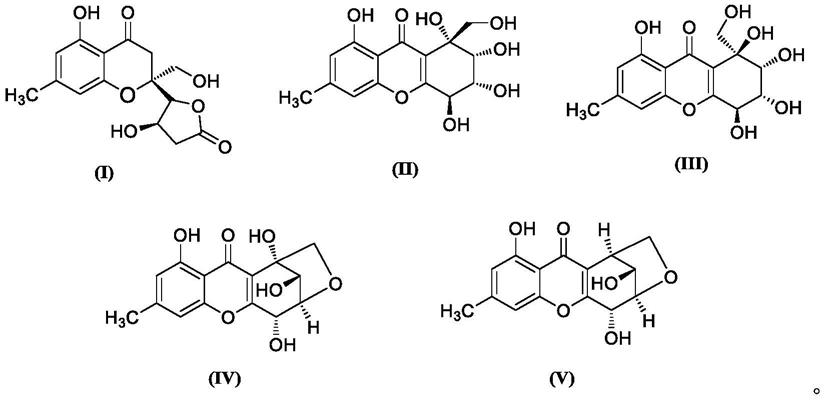 氢化氧杂蒽酮衍生物及其制备方法和应用