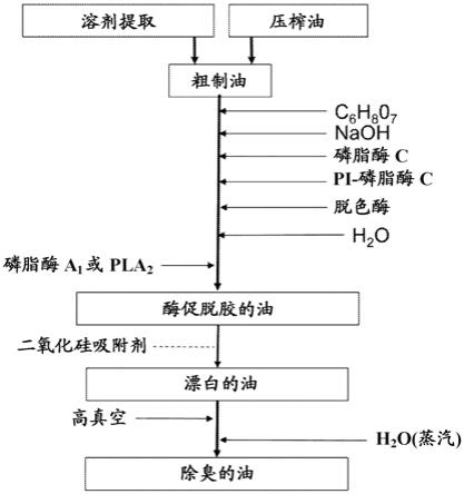 用于从基于三酰基甘油的油中去除叶绿素衍生物的二氧化硅吸附剂处理的制作方法