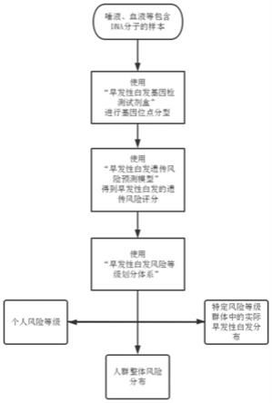 一种早发性白发遗传风险基因检测试剂盒、以及一种早发性白发遗传风险评估系统和方法与流程