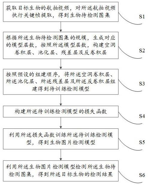 一种生物分支检测方法、装置及电子设备与流程