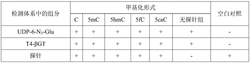 一种全基因组整体5hmC检测方法及其应用