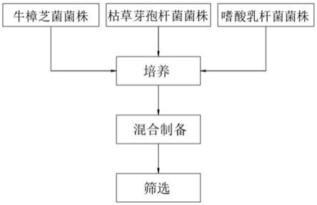 一种牛樟芝微生物菌饲料添加剂制备方法及制备装置与流程