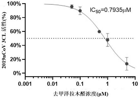 雷公藤有效成分治疗冠状病毒感染的用途的制作方法