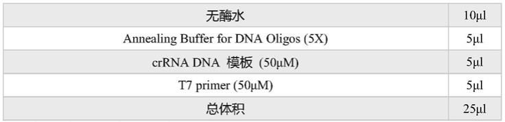 一种用于检测布鲁氏杆菌的试剂盒与检测方法