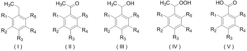 一种钴(II)掺杂壳聚糖碳材料及其制备方法和在催化氧化乙苯及其衍生物中的应用与流程
