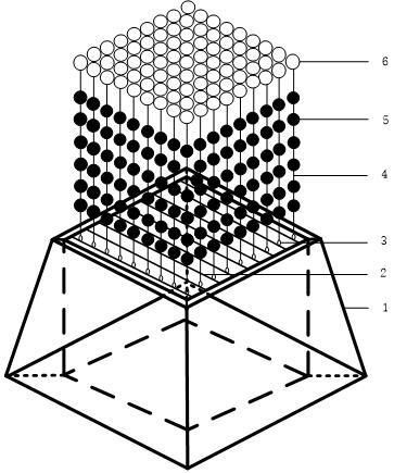 一种适宜牡蛎海底养殖装置的制作方法