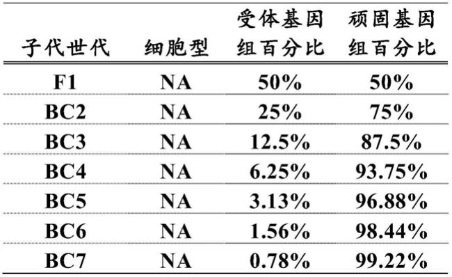 通过细胞型转移提高植物可转化性的制作方法