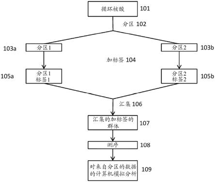 用于分离无细胞DNA的组合物和方法与流程