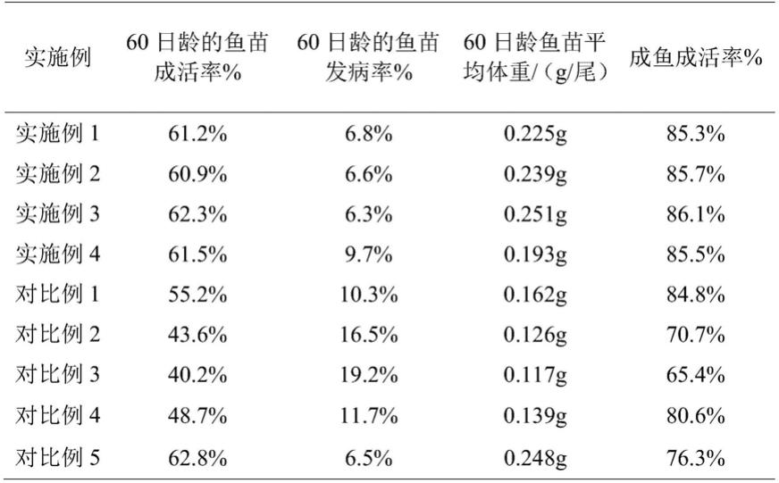 一种银鼓鱼室外池塘养殖方法与流程