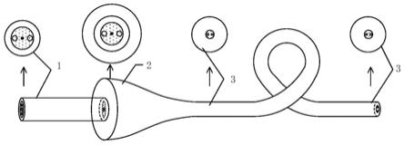 一种拉锥扭转型双包层等离子激发光纤器件及其制备方法与流程