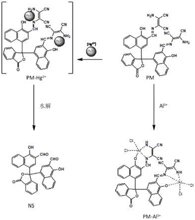 α-萘酚酞衍生物类多功能荧光探针及其制备方法和应用与流程