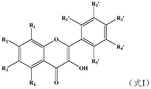 一种类黄酮化合物的钙配合物及其制备方法与应用与流程