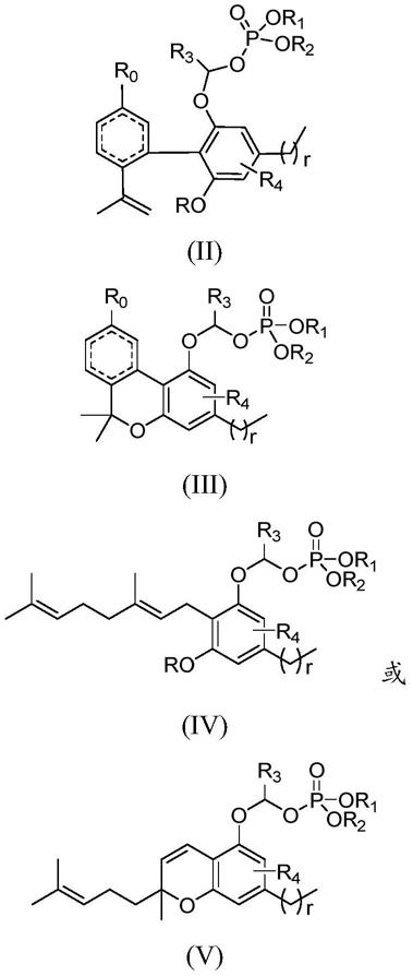 大麻素衍生物及其制备方法和在医药上的应用与流程