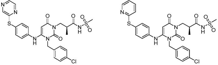 二氢嘧啶类化合物及其制备方法和用途与流程