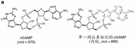 ENPP1抑制剂和调节免疫反应的方法与流程