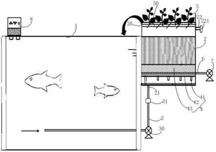 一种具有净化功能的景观鱼水缸的制作方法